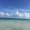 Photo of Eden S.
