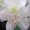Photo of Qype User (Blone1…)