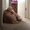 Photo of Megan S.