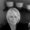 Photo of Phyl M.