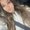 Photo of Desiree R.