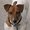 Photo of Penny K.