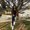 Photo of Valeria R.