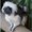 Photo of Lily S.