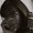 Photo of Kenya G.