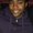 Photo of Marlon S.