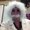 Photo of Nanor M.