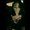 Photo of Tanisha L.