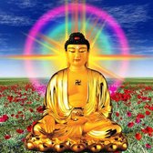 BEST BUY IN DAVENPORT FL visual data 5