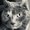 Photo of Amy N.