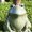 Photo of Debbie S.