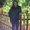 Photo of Malia M.