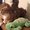 Photo of Lizz M.