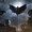 Photo of BatMan ..