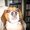 Photo of Manic Beagle M.