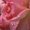 Photo of Lesly G.