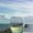 Photo of Kim B.