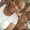 Photo of Nichelle S.