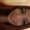 Photo of Fernanda A.
