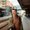 Photo of Alexa G.