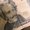 Photo of Marquis G.