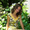 Photo of Isabella T.