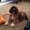 Photo of Kevin B.