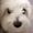 Photo of Cindy T.