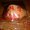 Photo of Rasheeda A.