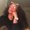 Photo of Kristin R.