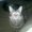 Photo of Dusti K.