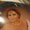 Photo of Luz S.