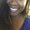 Photo of Brittany J.