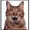 Photo of FatCat ..