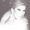 Photo of Yolanda C.