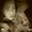 Photo of Kimberly B.