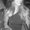 Photo of Debora B.