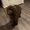Photo of Chenille G.