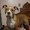Photo of Renae N.