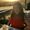 Photo of Ellie M.