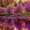 Photo of Margaret K.