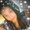 Photo of Tasha E.