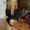 Photo of Heloise S.
