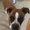 Photo of Melissa M.