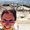 Photo of Gili S.