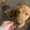 Photo of Elaina A.