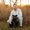 Photo of Chris S.