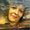 Photo of Verdia K.