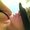 Photo of Alyson P.