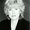 Photo of Cheri B.